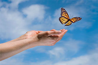 Butterfly Release and Memorial Service
