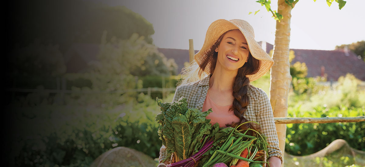Troy Community Garden Seeks Volunteers