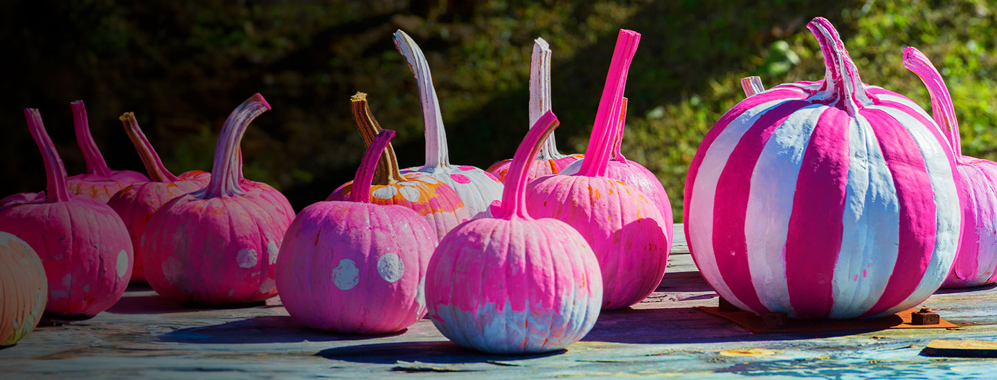 Breast Cancer Awareness Month Paint The Pumpkins Pink Contest!