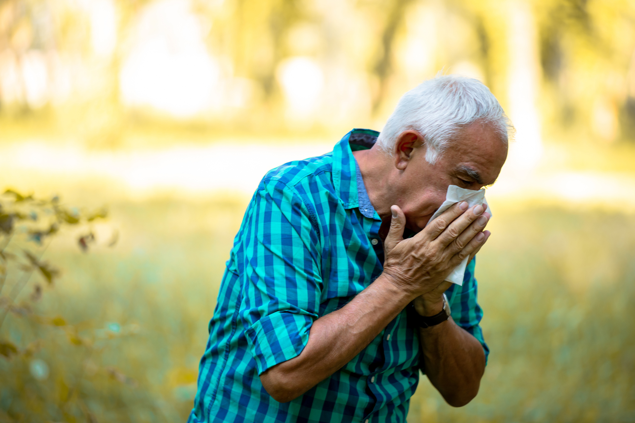 Bad Allergies? 