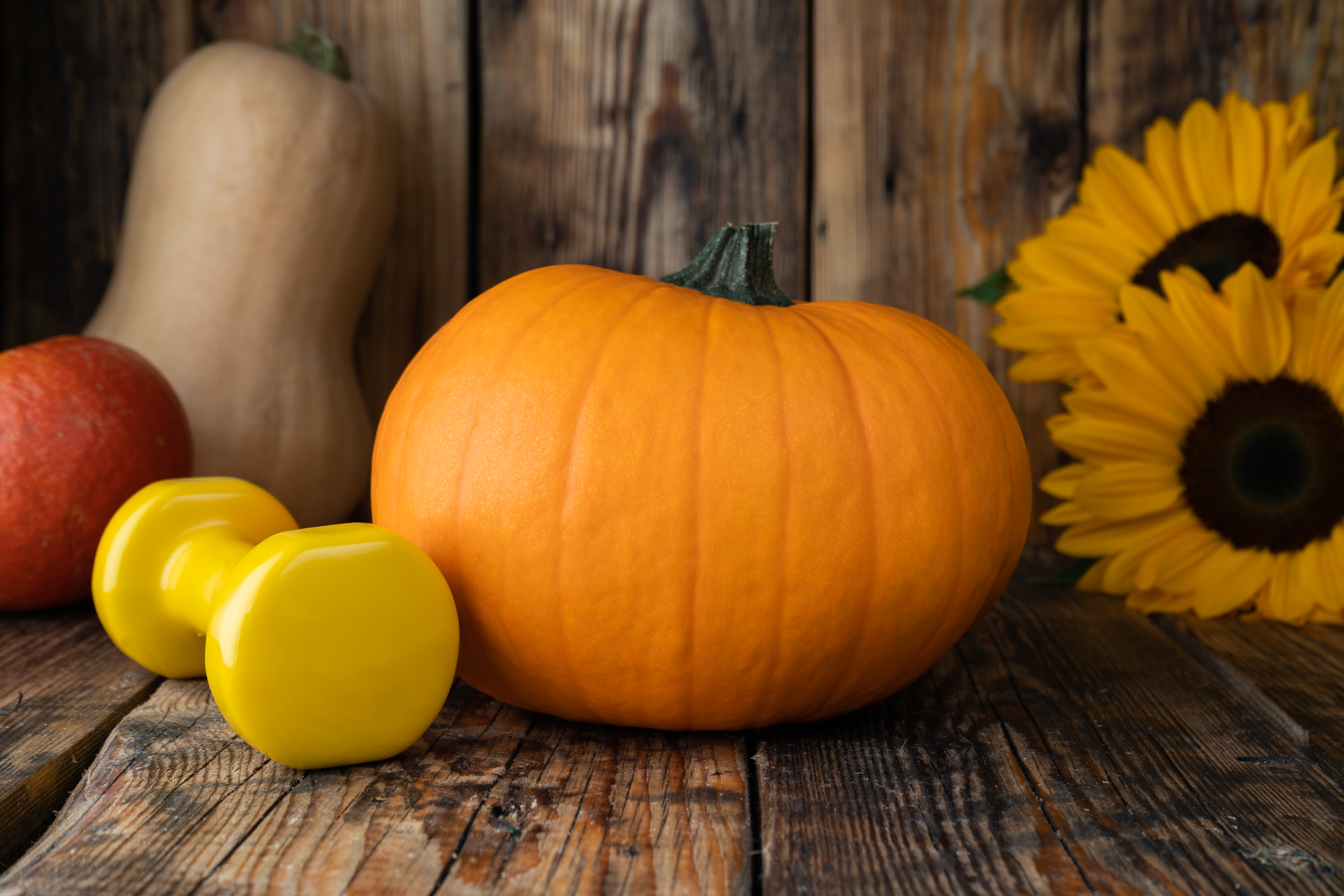 Fall Promotion
