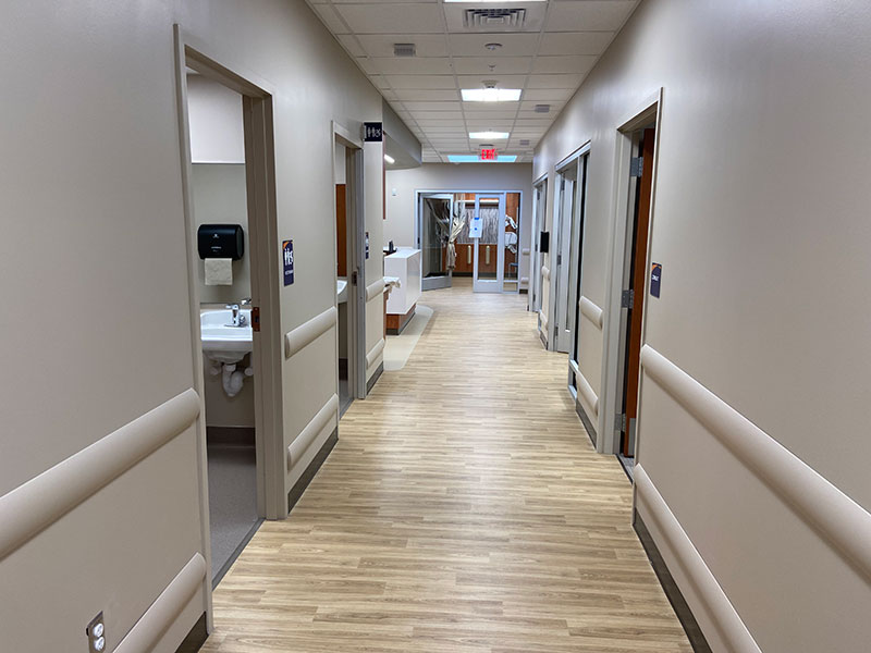 GI Suite 5