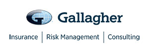 Gallagher Benefit Services Inc.