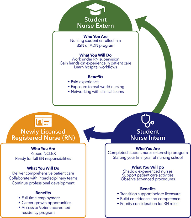 Your Journey from Student to Registered Nurse (RN)