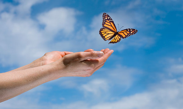 Butterfly Release and Memorial Service