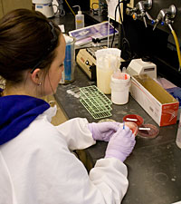 medical student working on experiment 