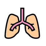 Pulmonary