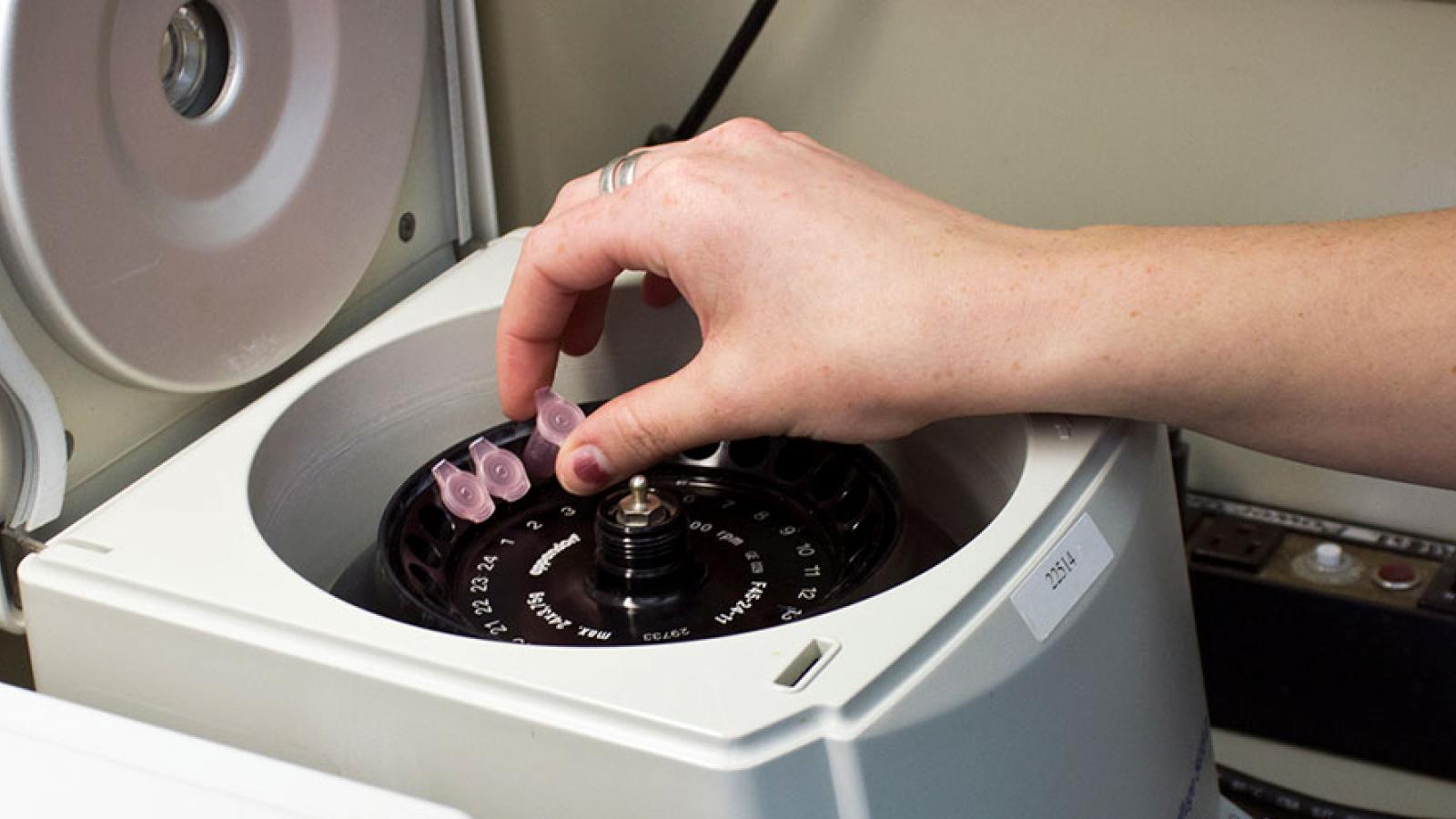 person using machine to test samples 