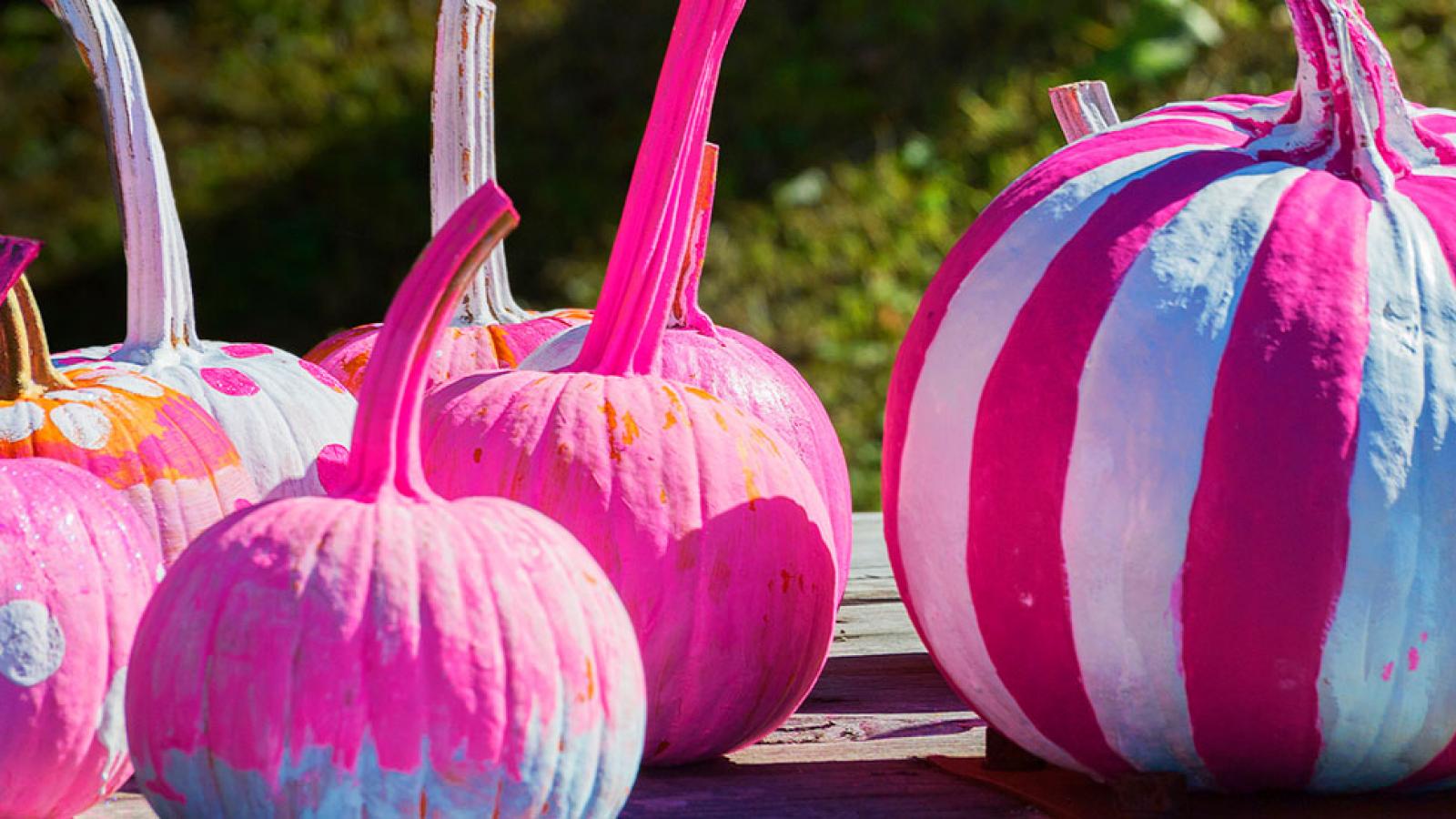 Breast Cancer Awareness Month Paint The Pumpkins Pink Contest!