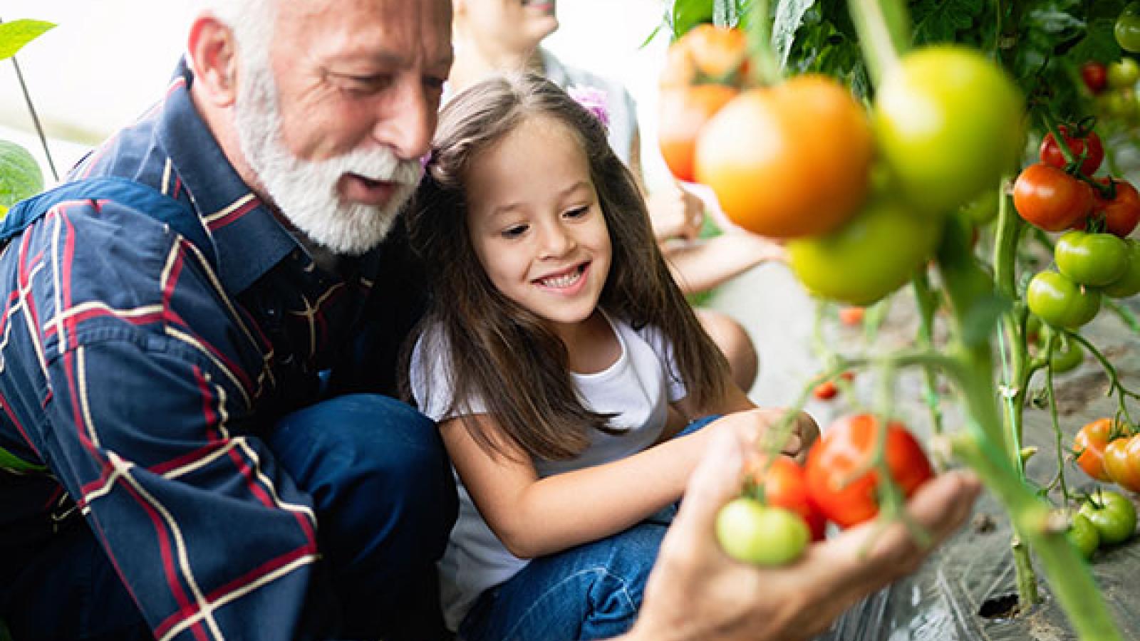 5 Health Perks of Gardening