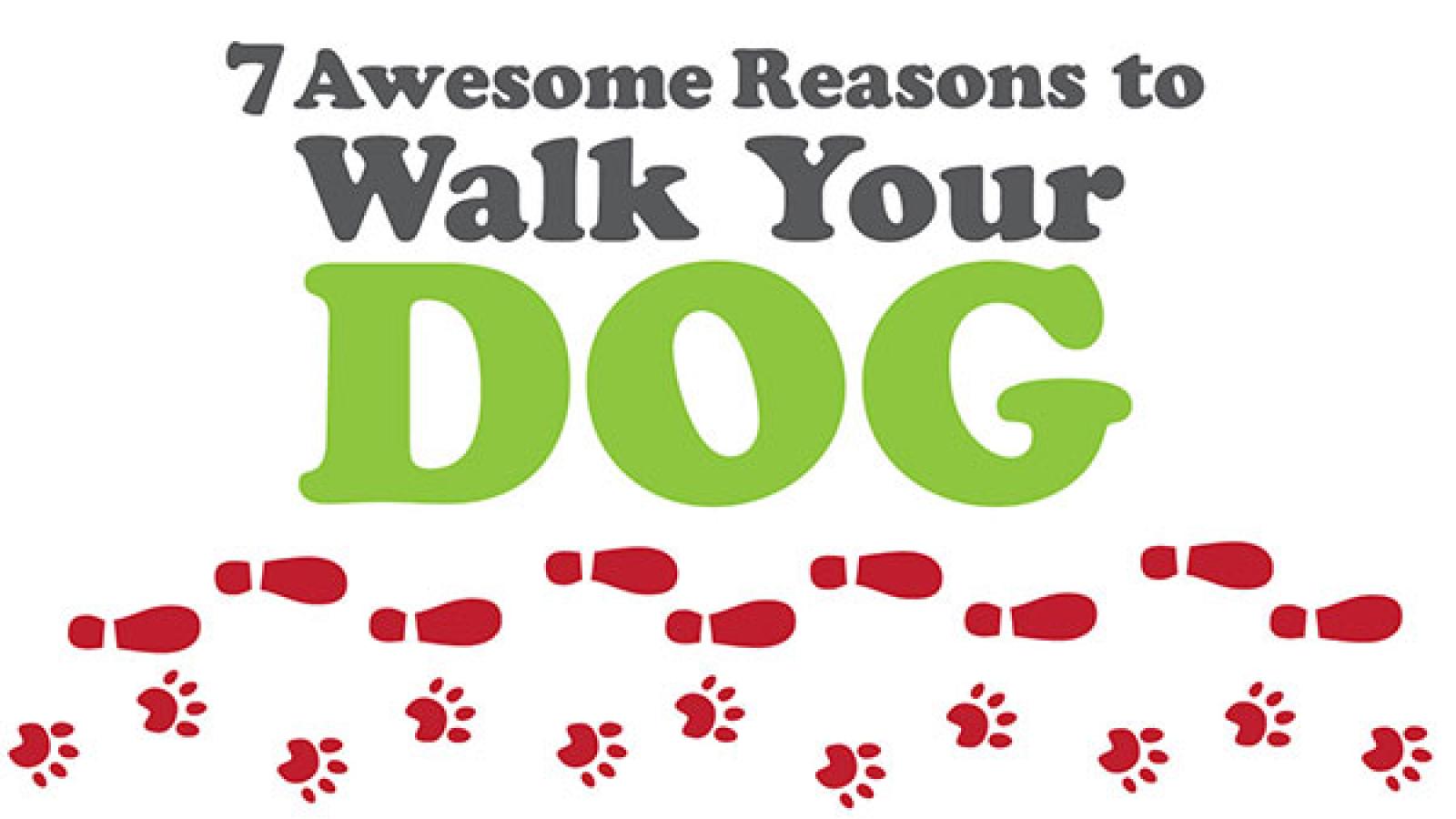 Infographic: 7 Awesome Reasons to Walk Your Dog