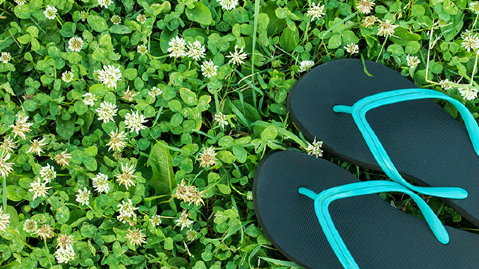 Can Flip Flops Cause Foot Problems? Guthrie