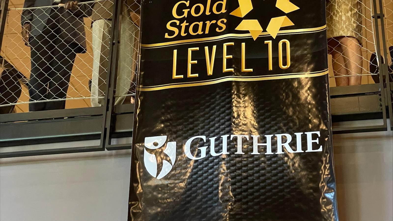 The Guthrie Clinic Achieves Epic Gold Stars Level 10