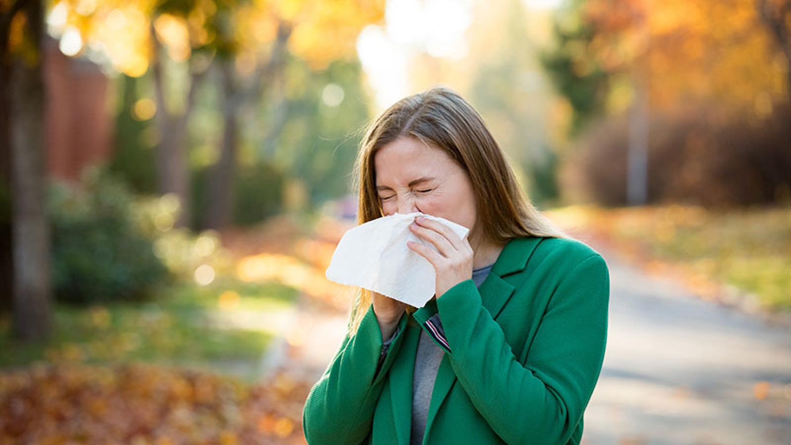 Fall Allergies: Triggers, Symptoms, and Management 