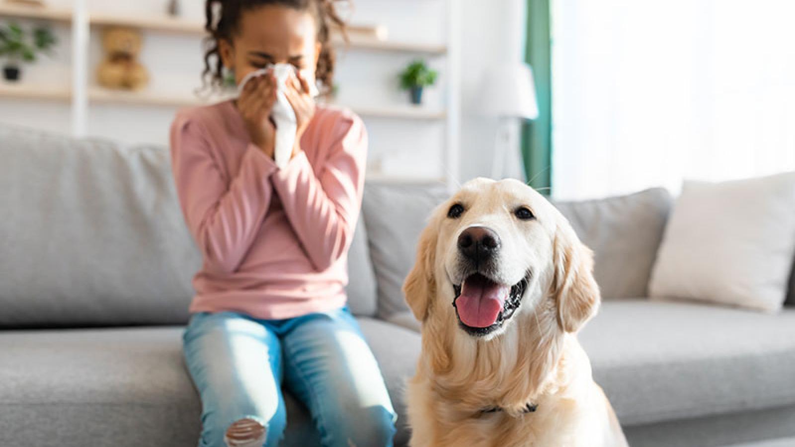 7 Tips to Allergy-Proof Your Home