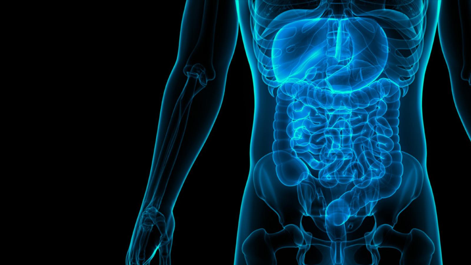 Gastrointestinal Clinical Trials