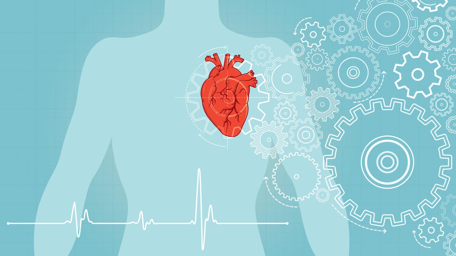 AFib Explained: Symptoms, Diagnosis and Treatment Options 