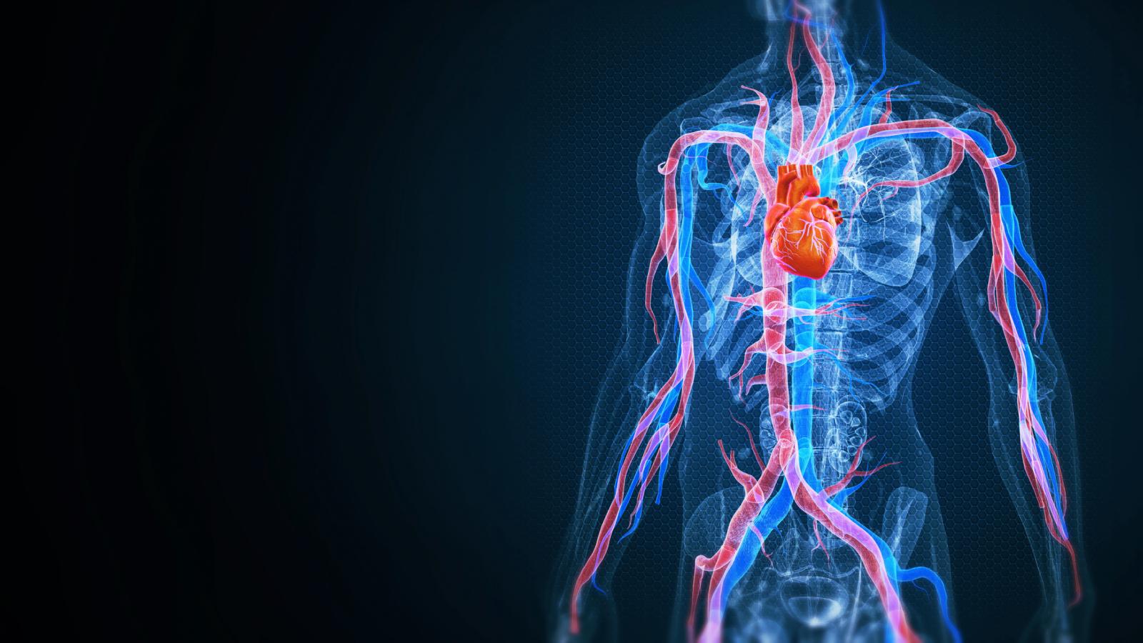 Could You Have Vascular Disease and Not Know It? 