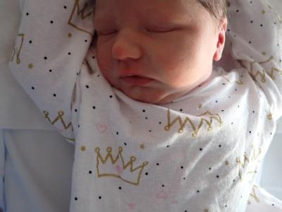 Elijah Rose