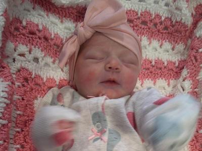 pink blanket