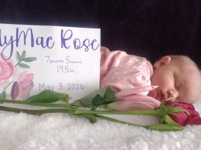 rose
