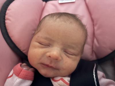 pink car seat