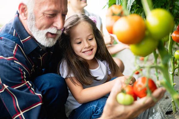 5 Health Perks of Gardening