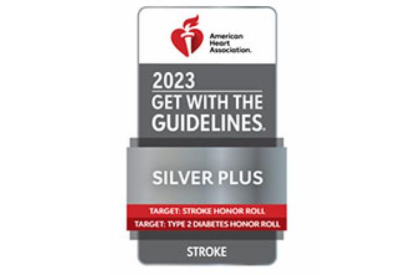 2023 Get With The Guidelines® - Silver Plus Stroke Award,