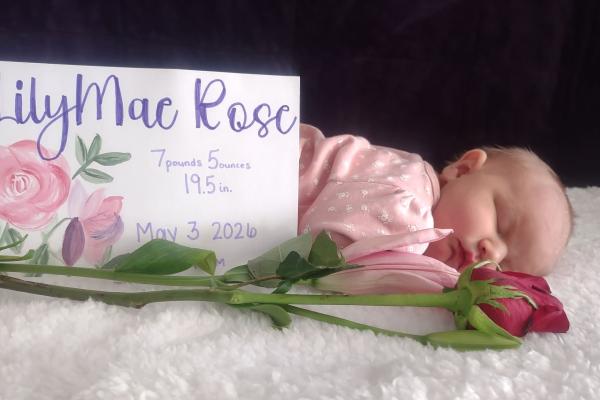 rose