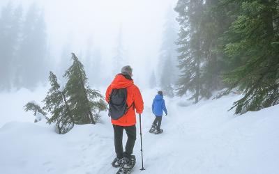 Orthopedic Safety in Winter