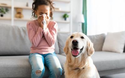 7 Tips to Allergy-Proof Your Home