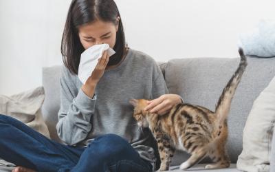 How Allergies May Affect Your Asthma