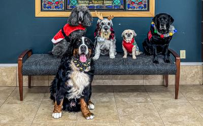 What started with a single dog and a simple idea has grown into one of Guthrie Lourdes Hospital's most beloved programs — and this spring, it turns 10.