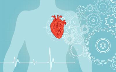 AFib Explained: Symptoms, Diagnosis and Treatment Options 