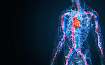 Could You Have Vascular Disease and Not Know It? 